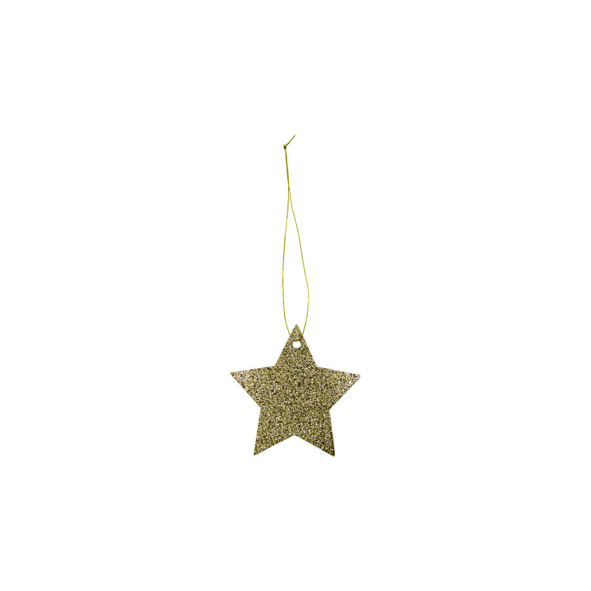 Gold Star Gift Tag w/String