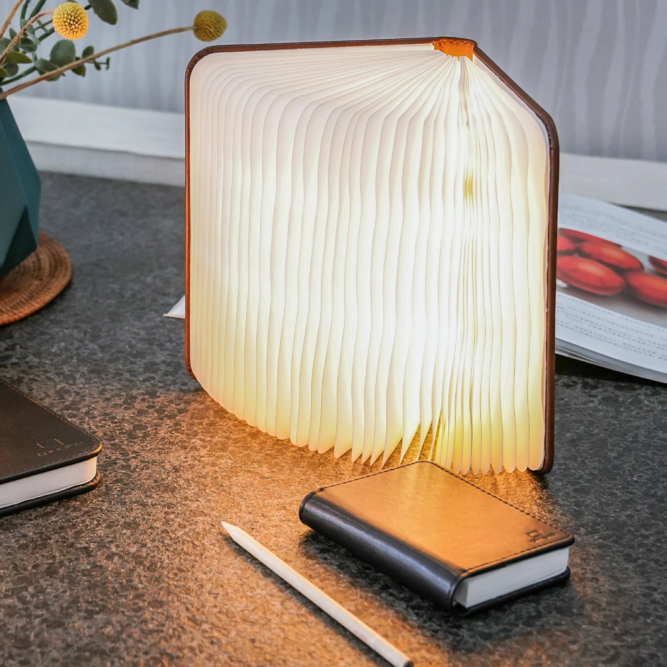 Smart LED Book Light Mini, Leather
