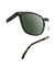 NEW Izipizi Sunglasses - #E Tortoise Polarized