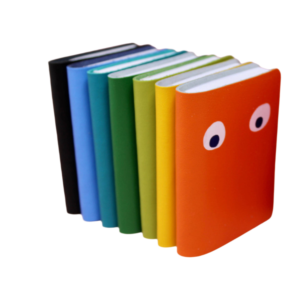 Googly Eye Mini Leather Notebook