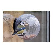 Born In Sweden Bird Feeder Window Closeup