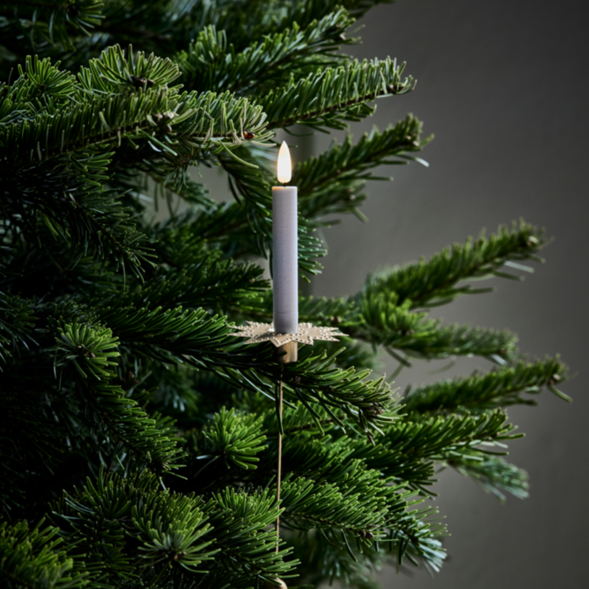 Tree Candle Holder - Set of 4