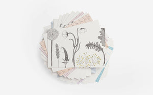 Affirmation Kindness Cards, Inspirational Note Cards