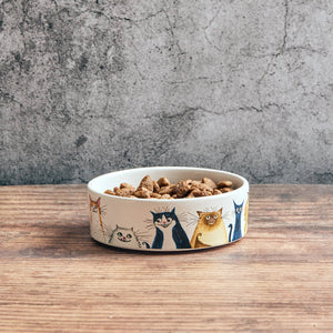 From Wags to Whiskers Cat Bowl