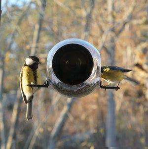 Born In Sweden Bird Feeder Window Closeup