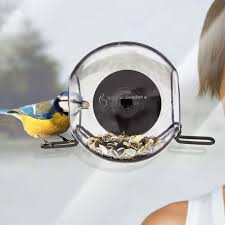 Born In Sweden Bird Feeder Window Closeup