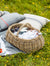 Forage Basket