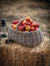 Forage Basket