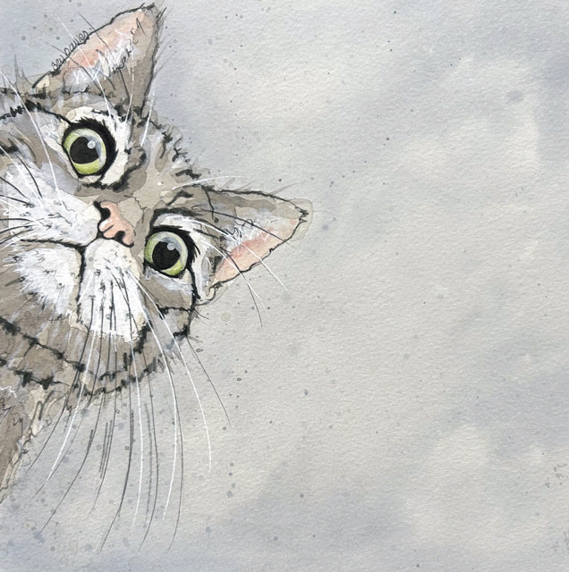 Oh Kitty BD1 3425