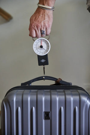Travel Scale