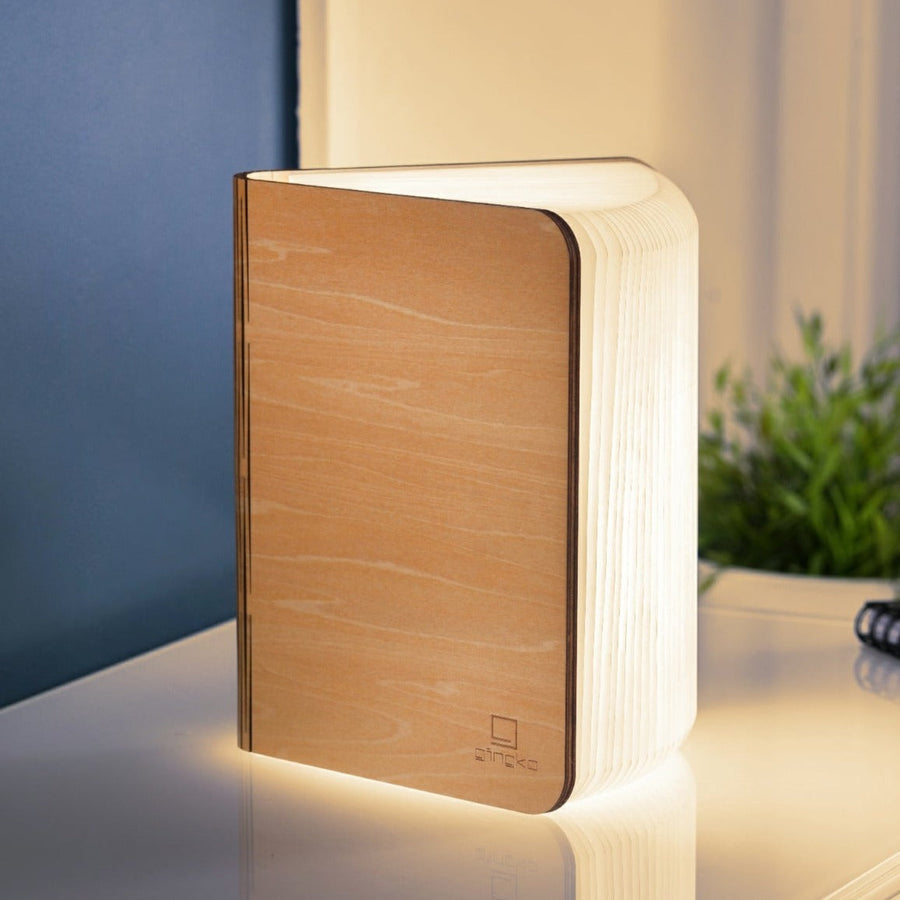 Smart Book Light Mini, LED