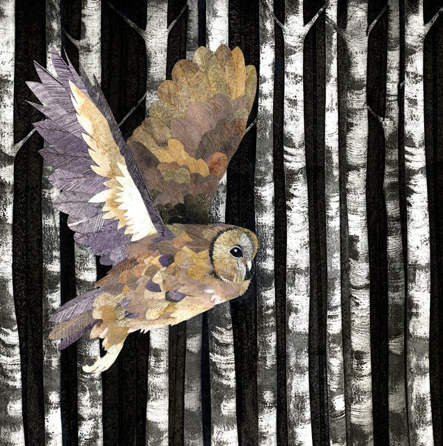 Owl KB1 1815