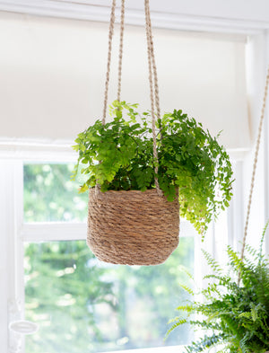 Hanging Plant Pot Seagrass