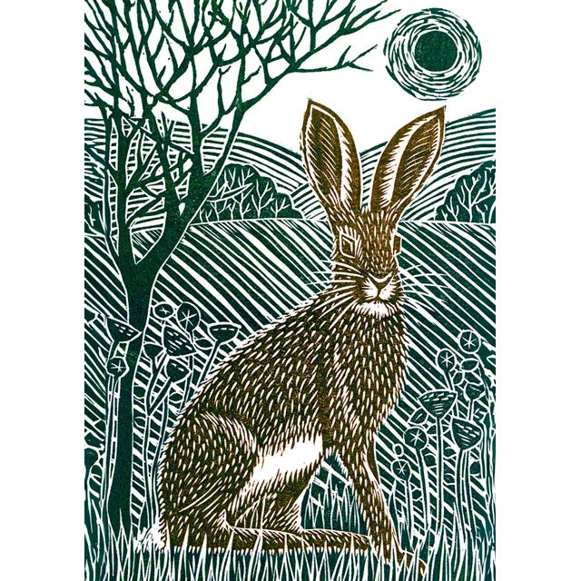 Sitting Hare KM1 0826