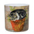 Cat Mug - Cat Nap in the Catnip - Gift Boxed