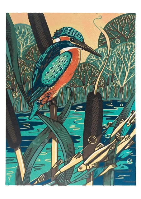 Kingfisher LE1 0924