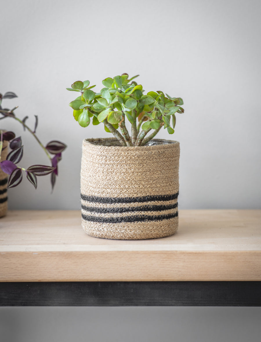 Jute Striped Plant Pot