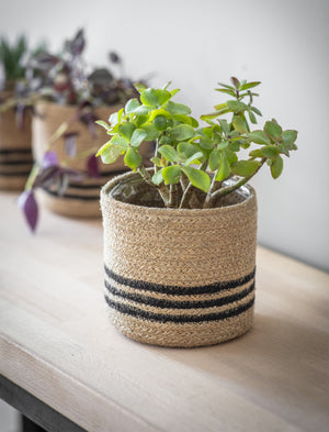 Jute Striped Plant Pot