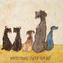 Art Press Card - Watching Cats Go By