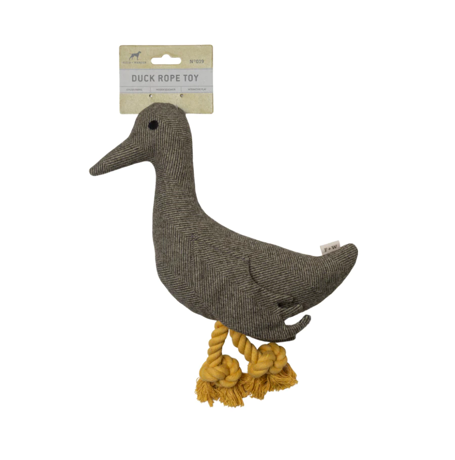 Squeaky Mallard Dog Toy CHALK EASEL