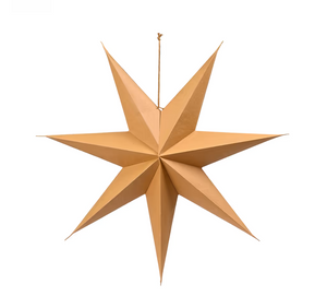 Cinnamon Star Decoration