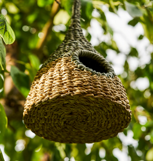 Bird House