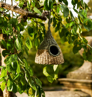 Bird House