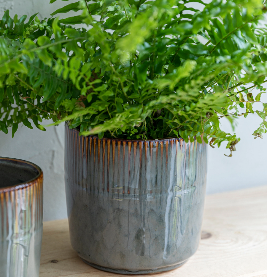 Ceramic Plant Pot