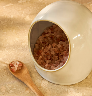 Ceramic Salt Pig