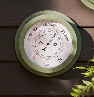 NEW Barometer - Thistle Green