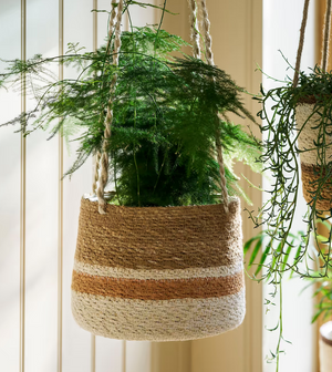 NEW Hanging Plant Pot, Seagrass Terracotta