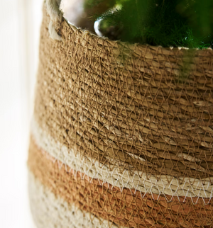 NEW Hanging Plant Pot, Seagrass Terracotta