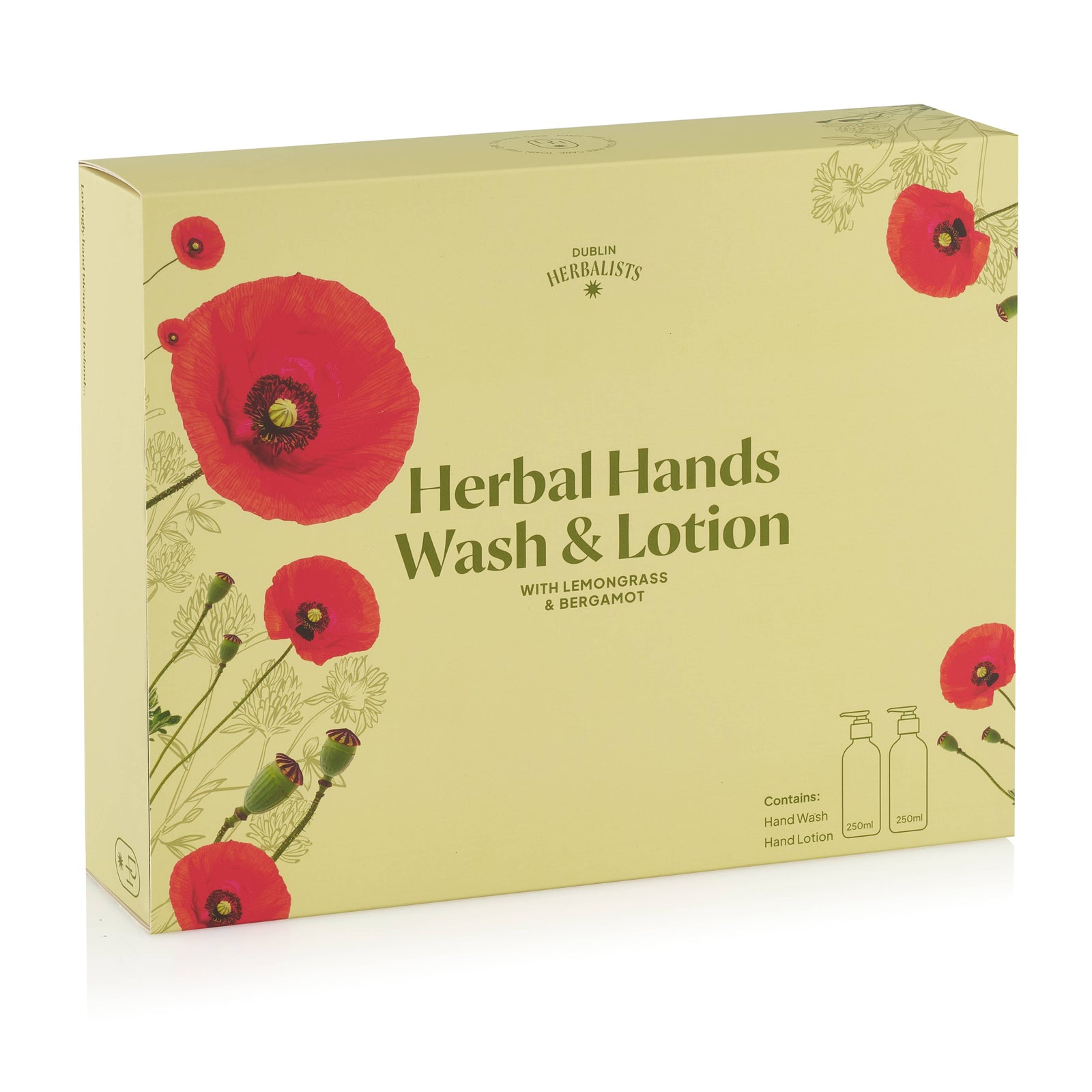 Vegan Hand Wash & Hand Lotion Gift Set