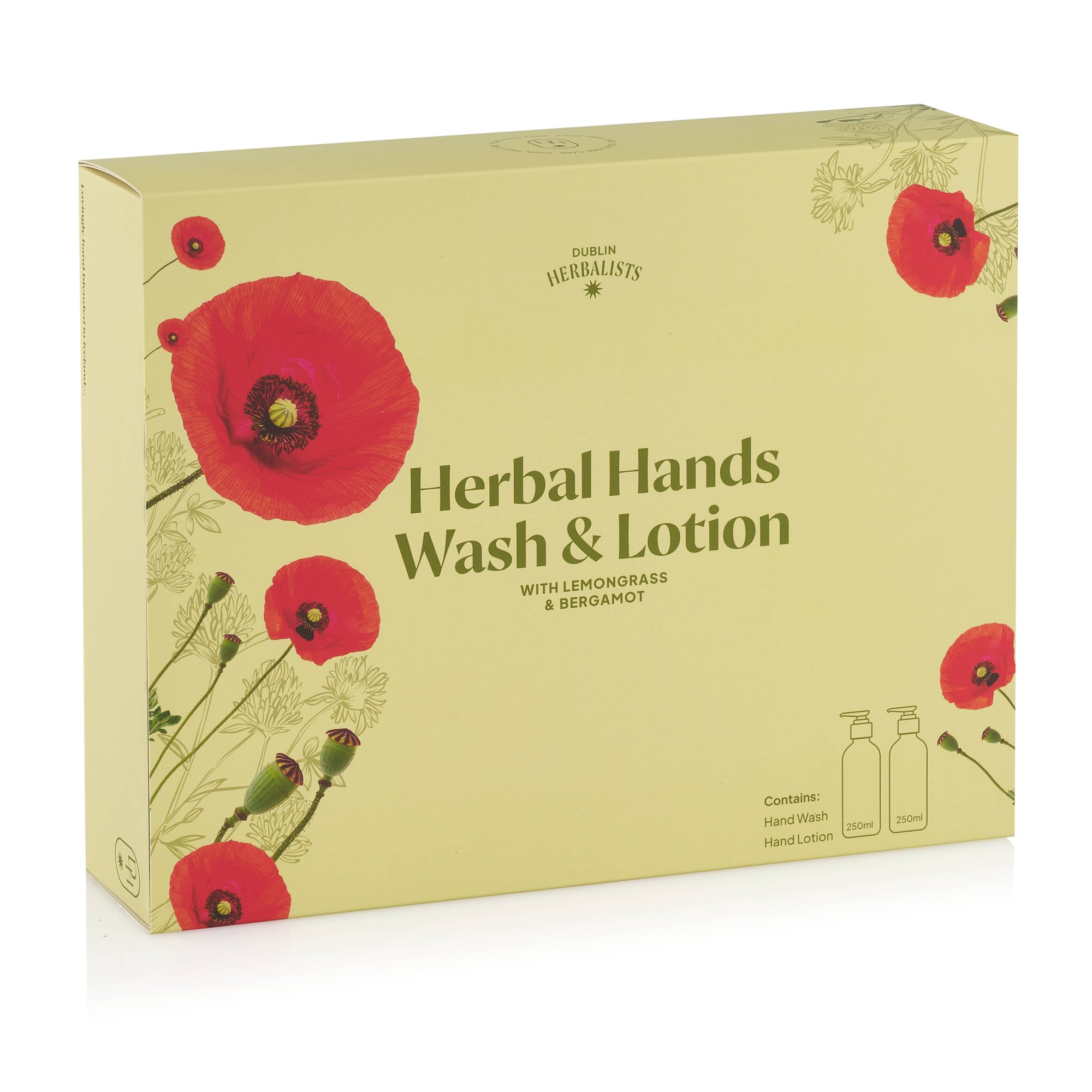 Vegan Hand Wash & Hand Lotion Gift Set