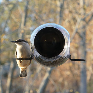 Born In Sweden Bird Feeder Window Closeup