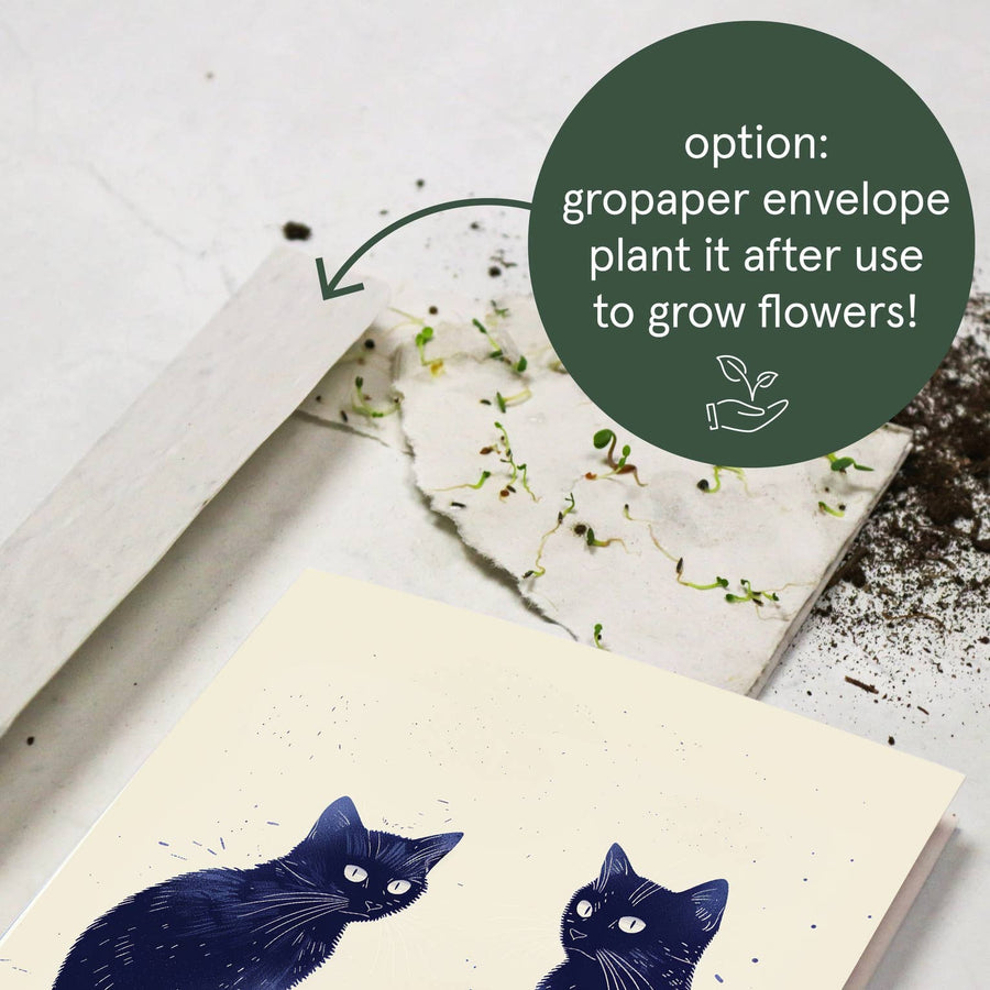 Oops - Naughty cats accident| I'm Sorry Card | Encouragement