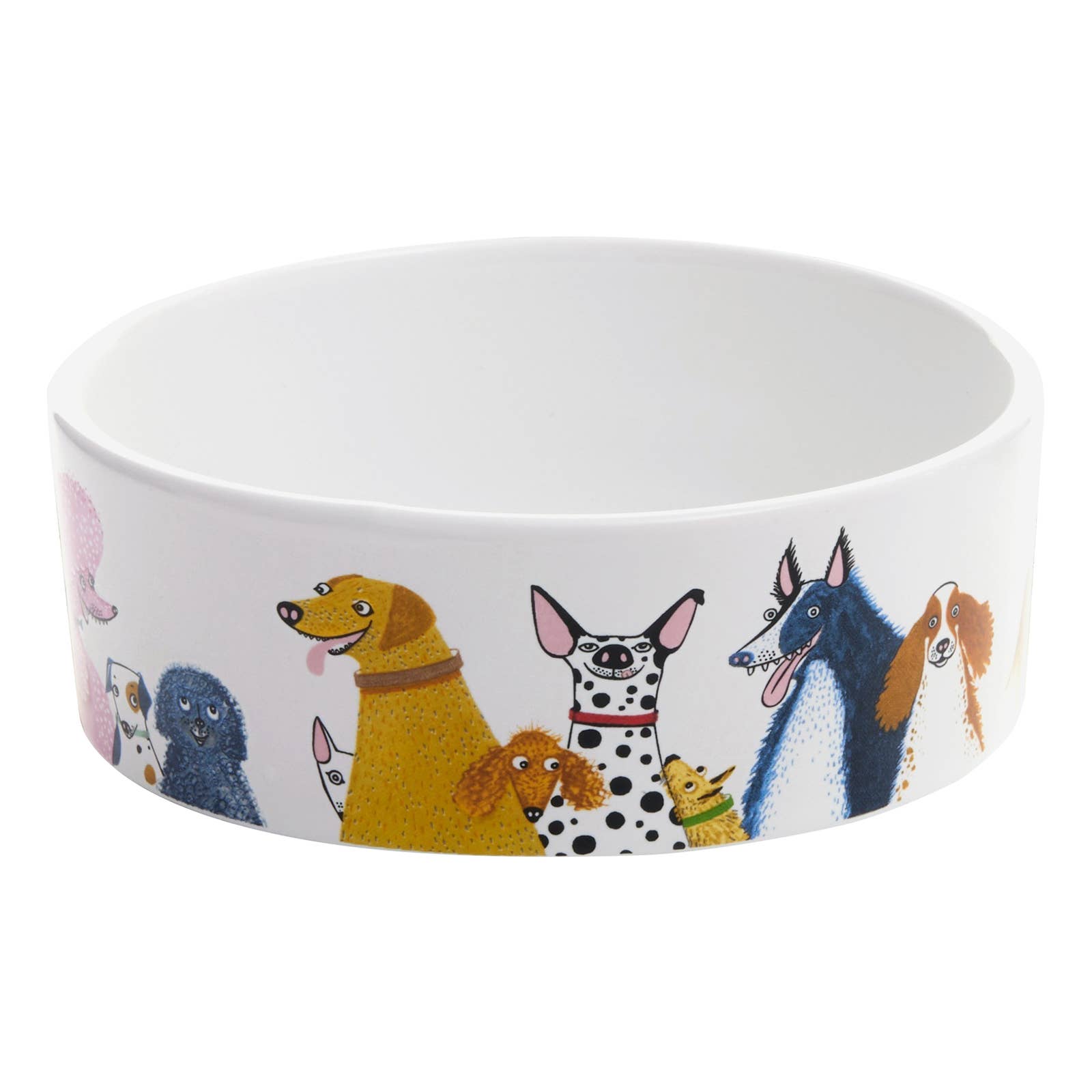 From Wags to Whiskers Dog Bowl Medium