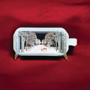 Christmas Message In A Bottle Card