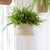 Hanging Plant Pot Tapered