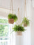 Hanging Plant Pot Seagrass