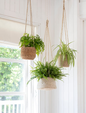 Hanging Plant Pot Tapered