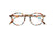 Reading Glasses #D - Blue Tortoise