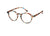 Reading Glasses #D - Blue Tortoise