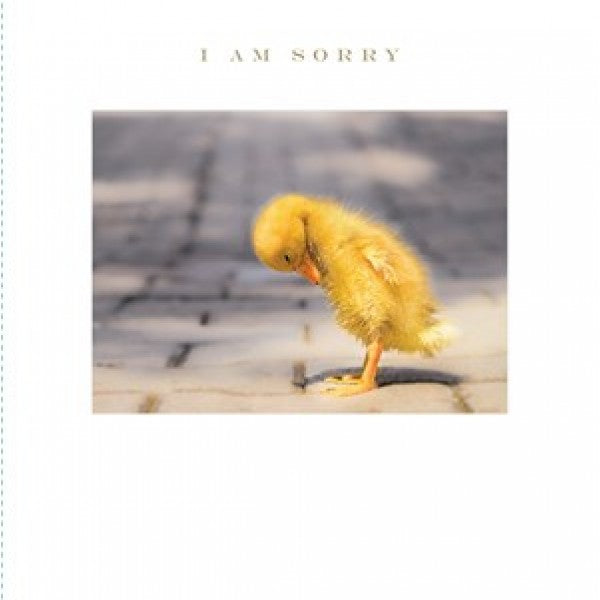 SOH Card - Sad Duckling - I am Sorry