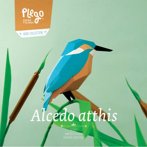 Plego Paper Kit - Common Kingfisher