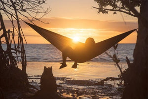 Double Hammock