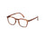 Reading Glasses #E - Wild Bright