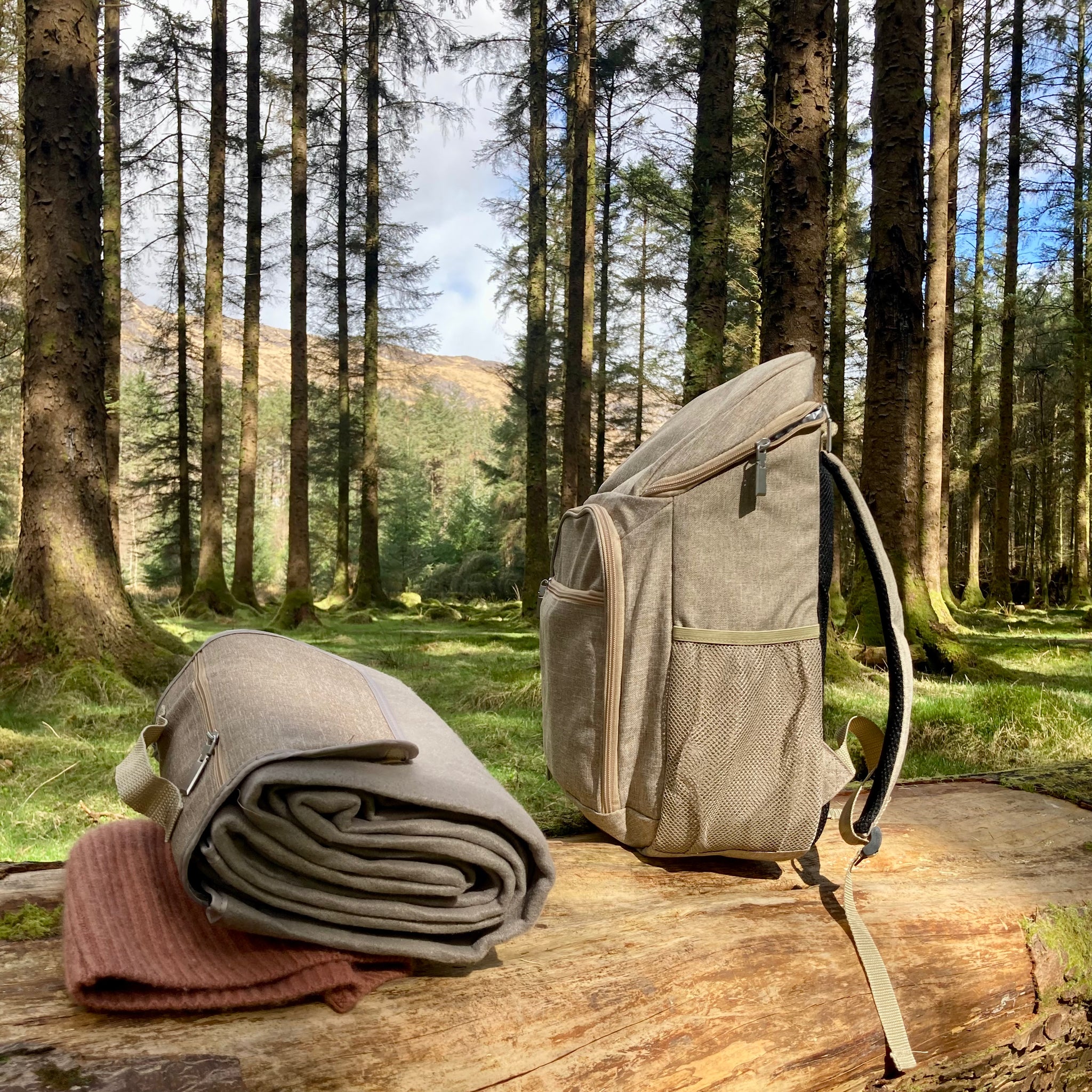 City Cooler Picnic Backpack CHALK EASEL