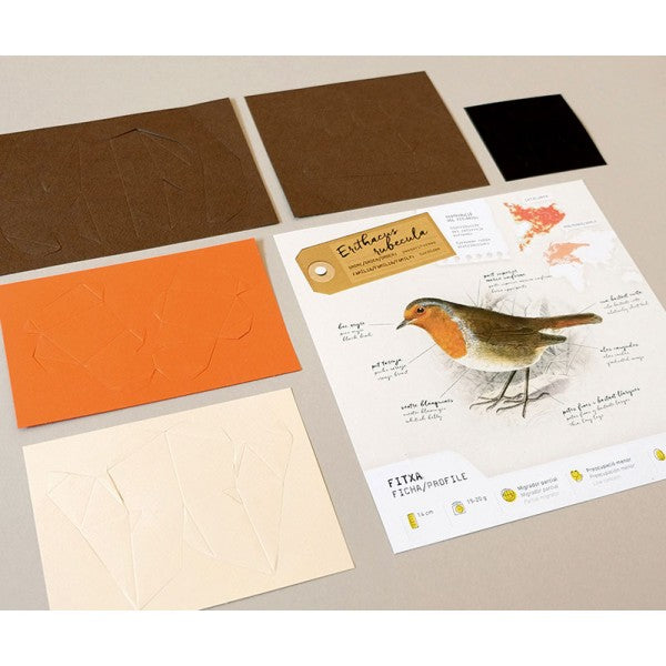 Plego Paper Kit - European Robin
