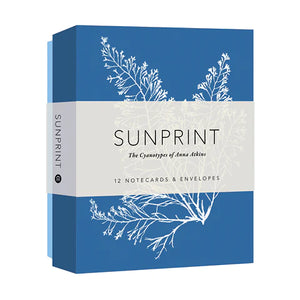 Sunprint Notecards, Benjamin English